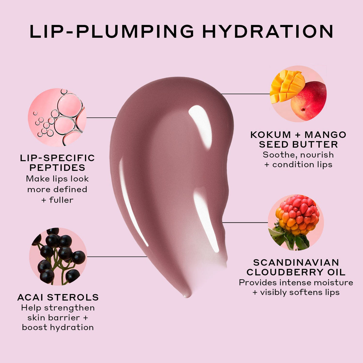 Pout Preserve Hydrating Peptide Lip Treatment Your Skincare Option for the Workday
